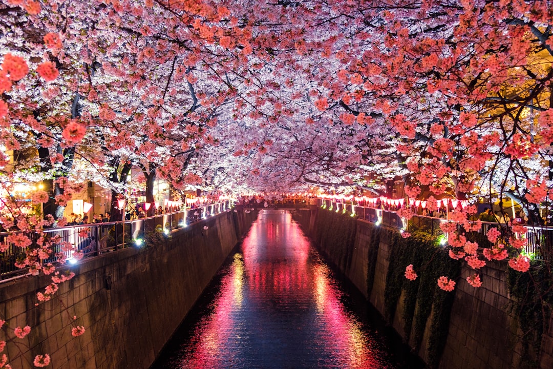 Seasons of Japan