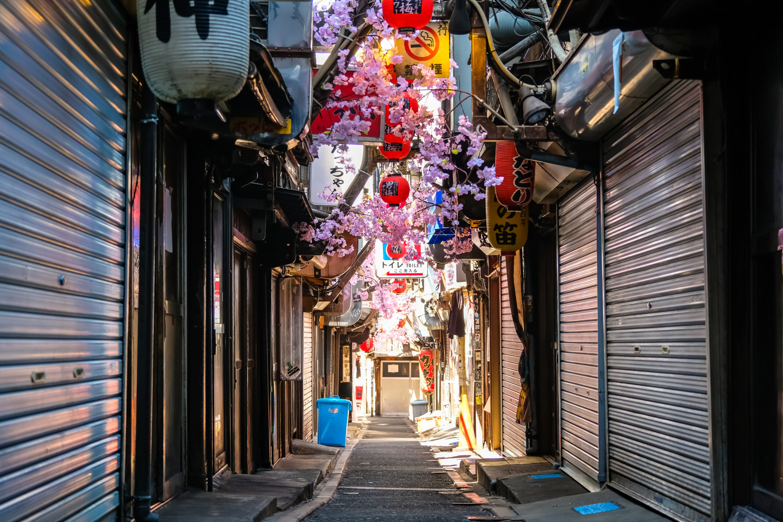 東京の横丁飲み歩き